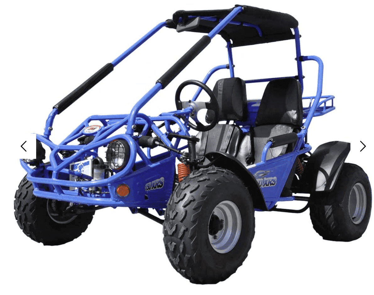 Trailmaster Eagle 200XRS Buggy / Go Kart Full Size Youth and Adult cart ages 13 and up. Off road High Torque Higher Reveving Motor