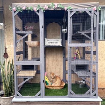 Aivituvin Cat House Outdoor Catio Kitty Enclosure, Wooden Cat Cage Condo Indoor Playpen with Large Enter Door and Platforms for Kittens