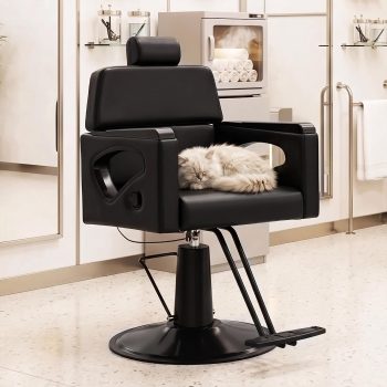 Salon Chair for Hair Stylist, Reclining Styling Salon Barber Chair with 360 Swivel, Hydraulic Pump, Adjustable Headrest for Spa Barbershop Beauty Home