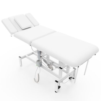 Dolonm Professional Electric Massage Table, Dual Motors Hydraulic Electric Lift Adjustable Waist and Height Lifting Functions with Remote & Foot Pedal Control for Therapy Facial Spa Salon