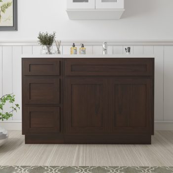 48 in. W x 21 in. D x 32.5 in. H Bath Vanity Cabinet without Top in