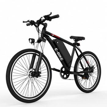 20" Electric Bike for Adults, 250W Motor, 19MPH Max Speed, 48V 5.2Ah Removable Battery, LCD Display, Compact E-Bike UL2849