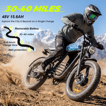 20" Fat Tire Electric Bike for Adults, Class 2 E-Bike, 750W Motor (Peak 1000W), 48V 15.6Ah Battery