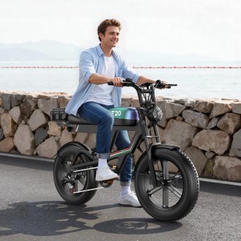 750W Peak Electric Bike for Adults-T20, 20"4.0 Fat Tire Ebike, 7-Speed 48V 20Ah Cargo Ebike,All-Terrain Off-Road Electric Mountain Bicycle, Full Suspension /Disc Brake UL2849, 440Lbs,Ages 16+