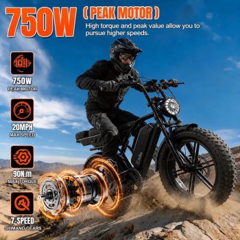 TST Electric Bike for Adults, 750W Motor, 20"x4" Fat Tire E Bicycle, E Mountain Bike, 48V/15AH, Tested to UL2849 Standard by SGS