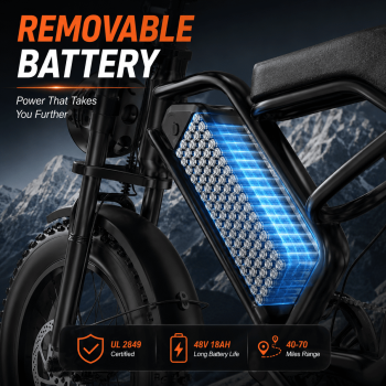 Electric Bike for Adults with 750W Motor 48V 20Ah 50 Miles Range Max 19 MPH 20'' Pneumatic Tires Dual Disc Brakes Smart App Control 2 Seater