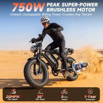 HQYEX HQ20 Adult Electric Bike, 750W Brushless Motor, 20" Fat Tire Ebike, 48V 20Ah Removable Battery, 20MPH Top Speed with Dual Suspension & Dual Disc Brakes for All-Terrain Use