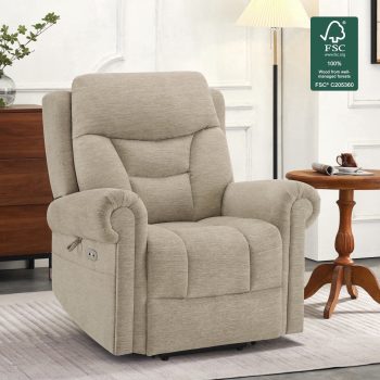 MCombo Dual Motor Power Lift Recliner Chair with Massage and Dual Heating for Senior, Fabric 7888 (, Medium)