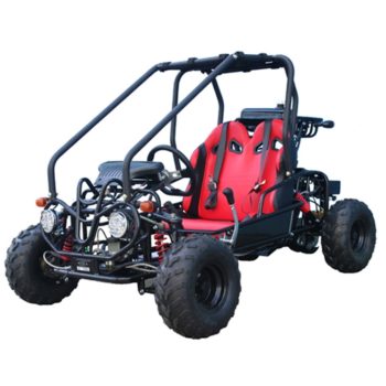 Tao Motor New GK110 Gas 110CC Youth Go Kart, Air Cooled, 4-Stroke, 1-Cylinder, Automatic with Reverse
