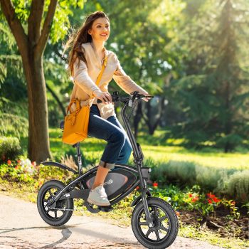 Gocio 14" Foldable Electric Bike, 375Wh 48V Electric Bicycles for Adults Women Teens, Peak 500W City Commuter Cruiser Ebikes, LED Display, E bike One-Piece Tire with 5 Riding Modes UL2849 Certified