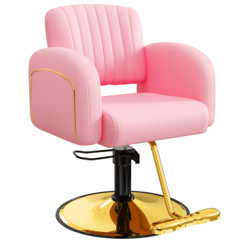 Baasha Premium and Hair Salon Chair, Comfortable Stylist Chair with Memory Sponge, 360° Swivel, Steel Frame, Weight Capacity Up to 440 lbs