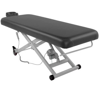 SKINACT Stella Electric Medical Spa Treatment Table Facial Chair/Bed (Gray)
