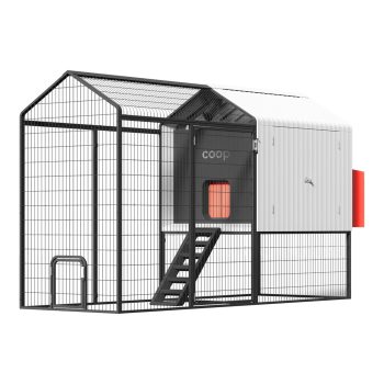 coop Smart Coop for 4 to 6 Chickens with Steel Run, 100-000
