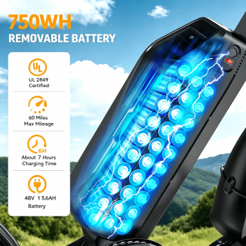 Teen Electric Bike, 750 & 1000W Motor 20+MPH Speed, 48V 15.6AH Removable Battery, 60 Miles Range, 16×4 Fat Tire Full Suspension E-bike with 3 Speed Assist UL2849