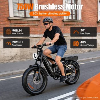 HiKeep Class 3 Electric Bike for Adults, 28 MPH 750W Motor, 48V 25Ah Battery, 26 x 4 Fat Tires, Shimano 7-Speed, Full Suspension, LCD Speedometer, Hydraulic Disc Brakes, Rear Cargo Rack