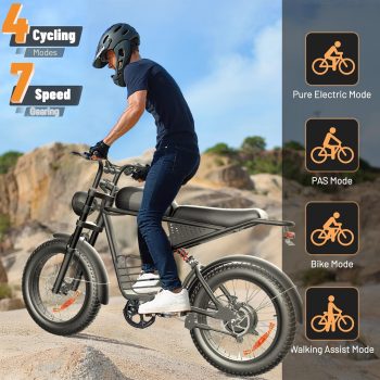 Electric Bike for Adults, 750W Motor, 48V 18.9Ah Battery, 28 MPH PAS, 50 Miles Range, Full Suspension Fat Tire Off-road Bike, UL2849