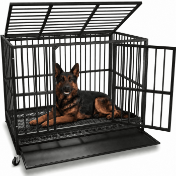 Oranland 48-Inch Heavy Duty Dog Crate for Large Dogs