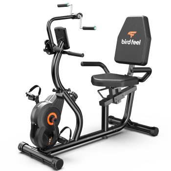 LNOW Recumbent Stationary Bike for Home with Arm Exerciser, Low-Impact Cardio & Physical Therapy for Seniors