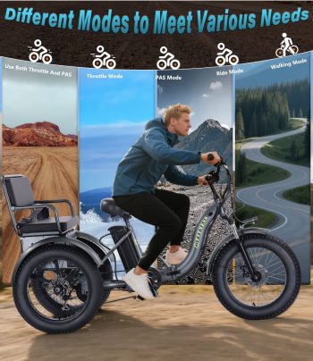Two Seater Electric Tricycle 7 Speed 3 Wheel Electric Bicycle 20*4.0" Peak 1200W Fat Tire Electric Tricycle for Adults 48V 20AH with Rear Basket Green UL2849 by SGS