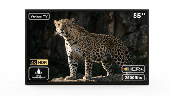 Apexscnview 55-Inch 4K UHD Outdoor Smart TV, 2500-Nit, Google TV, Voice Remote, IP65 Waterproof