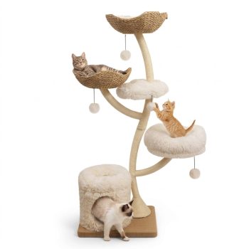 63" Tall Cat Tree, Multi-Level Indoor Cat Tower with Scratching Posts, Cozy Condo, Soft Resting Perch & Hanging Toys for Cats