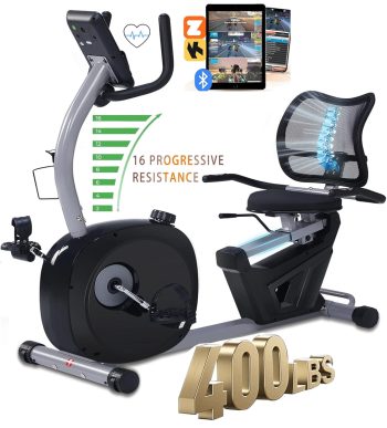 BORGUSI Recumbent Exercise Bike Home Stationary Quiet 16-Level Magnetic Resistance Large Comfortable Seat Heart Rate Monitor iPad Holder 400LBS Capacity for Seniors