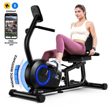 LNOW Magnetic Recumbent Exercise Bikes Sit Down Stationary Bicycle Indoor Cycling Bike 380lb for Senior