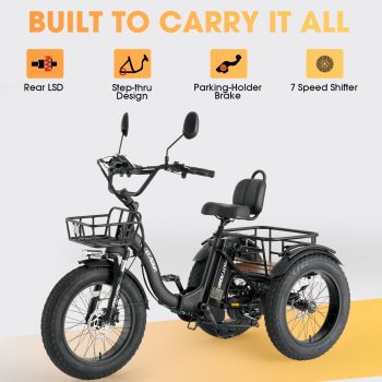 Skeri Electric Tricycle for Adults, 750W(Peak 1350W) Motor, 48V13Ah Battery, 20"x4" Folding Fat Tire 3-Wheel Electric Trike, 20MPH, Hydraulic Brakes, Rear Basket & Differential, UL2849