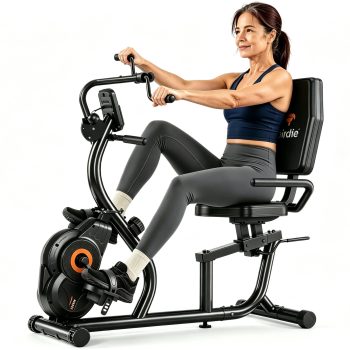 LNOW 2-in-1 Recumbent Bike with Upper & Lower Body Exerciser, Adjustable Seat, LCD Display, Magnetic Resistance, Home Gym