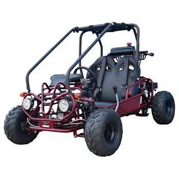 Tao Tao GK110 110cc Gas Go-Kart Youth Automatic with Reverse