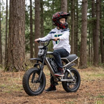 HiKeep Class 2 Electric Bike for Teenagers, 20 MPH Fat Tire E-Bike, 48V 15.6Ah Removable Battery, 16" Electric Bicycle, UL2849