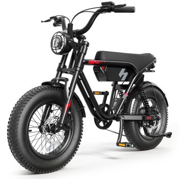 Actbest Fat Tire Electric Bicycle, 16"x 4.0" Fat Tire Ebike, 750W 48V 13Ah 25MPH Full Suspension, Electric Bike for Adults