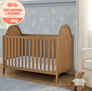 Delta Children Willa 4-in-1 Convertible Crib