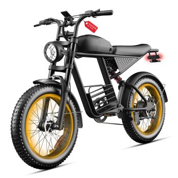 Electric Bike for Adults, 750W Motor, 20"x4" Fat Tire, E Mountain Bike, 48V/15.6AH Battery,UL2849
