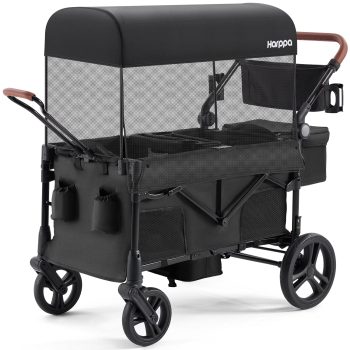 HARPPA Foldable Wagon Stroller for 2 Toddlers with Pull & Push Handle, Canopy, 32.9lbs