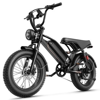 Jasion 750W Electric Bike, 48V 20Ah Battery E-Mountain Bike, Class 3 Fat Tire 20 Inch Off-Road Electric Bicycle with Hydraulic Brake, 80 Miles Moped Style Ebike with speedometer, UL2849