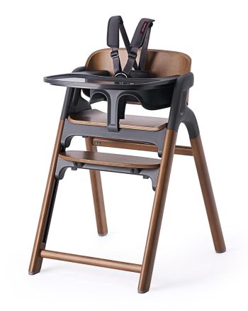Momcozy 5-in-1 Convertible High Chair,Grows from Baby to Adult,308 lbs Capacity,Ergonomic&Adjustable