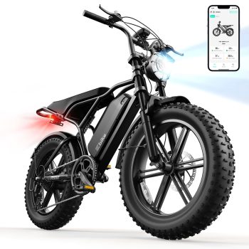 TST Electric Bike for Adults, 750W Motor, 20"x4" Fat Tire, 20mph Class2, E Mountain Bike, 48V/15AH, Tested to UL2849 Standard by SGS