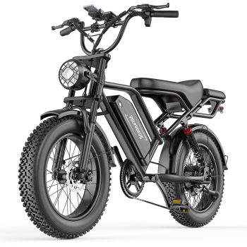 VOLTVOGUE BK-20 Adult Electric Bike, 750W Brushless Motor, 20" Fat Tire 48V 960Wh Ebike, 20MPH Top Speed Dual Suspension