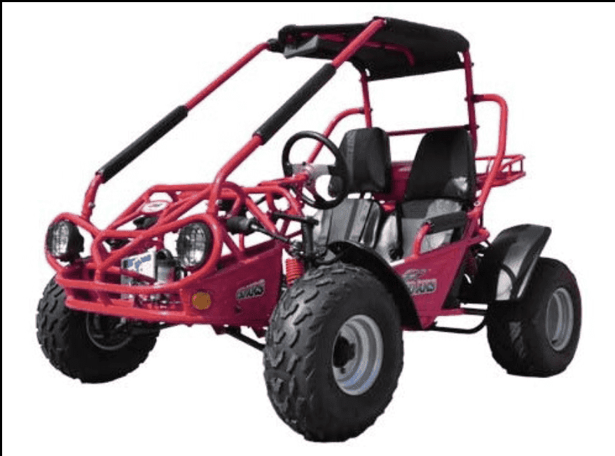 Trailmaster Eagle 200XRS Buggy / Go Kart Full Size Youth and Adult cart ages 13 and up. Off road High Torque Higher Reveving Motor