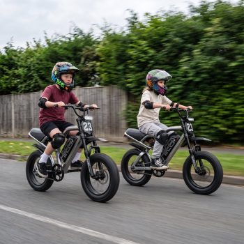 16" Mini Electric Bike, Class 2 Electric Bike 20MPH Max Speed, 750W Motor, 48V 15Ah Removable Battery, Fat Tire Ebike for Teenagers, Full Suspension Electric Bicycle, UL2849