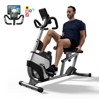 HARISON Recumbent Exercise Bike for Home Use, 350lb Capacity Heavy Duty Stationary Bike with 14-Level Magnetic Resistance, Smart Workout Bicycle with Bluetooth