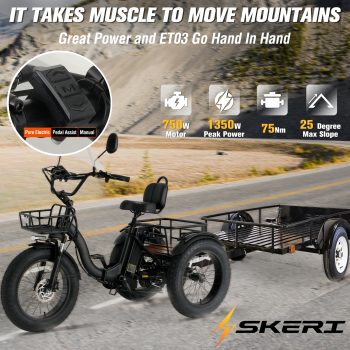 Skeri Electric Tricycle for Adults, 750W(Peak 1350W) Motor, 48V13Ah Battery, 20"x4" Folding Fat Tire 3-Wheel Electric Trike, 20MPH, Hydraulic Brakes, Rear Basket & Differential, UL2849
