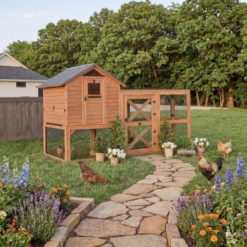 Backyard Discovery Rustic Roots Cedar Wooden Chicken Coop for 6 Chickens, Automatic Door
