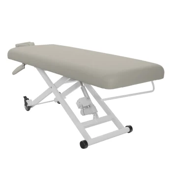 SKINACT Stella Electric Medical Spa Treatment Table Facial Chair/Bed (Taupe)