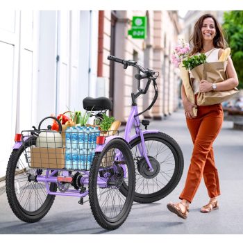 Gocio Electric Tricycle for Adults, Peak 500W Motor E-Trike 48V 10.4AH UL2849 Battery, Cargo Motorized Tricycle,7 Gears 3-Wheel Electric Bike for Adults
