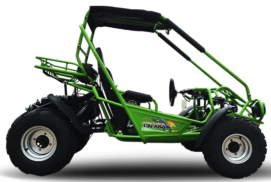 Trailmaster Eagle 200XRS Buggy / Go Kart Full Size Youth and Adult cart ages 13 and up. Off road High Torque Higher Reveving Motor