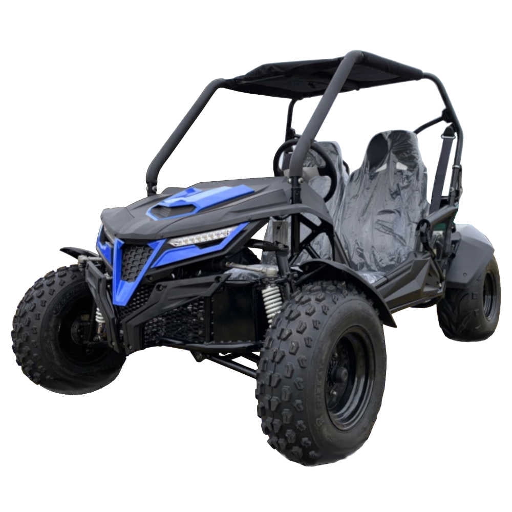 Trailmaster Cheetah 200 Go kart ,Upgraded rear end, high back seats, Full Welded Roll Cage