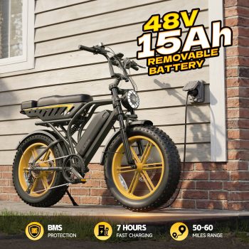 TST Electric Bike for Adults, 750W Motor, 48V/15Ah, 20"x4" Fat Tire E-Mountain Bike, Tested to UL2849 Standard by SGS