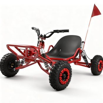 Esheno Outdoor Go Kart 63cc 2.2HP 38KM/H Speed 120KG Capacity for Backyard Off Road Fun